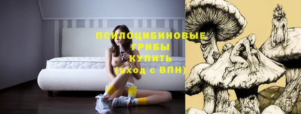 ешки Красноперекопск