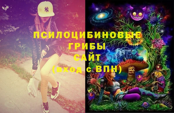 ешки Красноперекопск