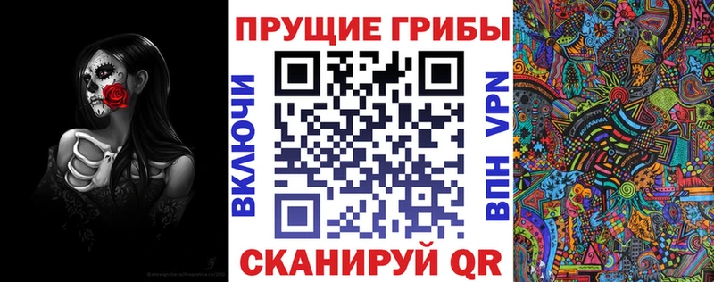 Купить  Сусуман  Галлюциногенные грибы Cubensis 