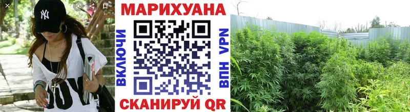 Купить закладки  Сусуман  Каннабис гибрид 